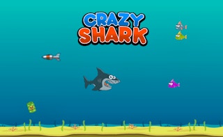 Crazy Shark