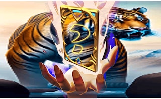 Animal Tiger Memory Match