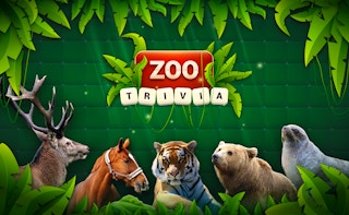 Zoo Trivia