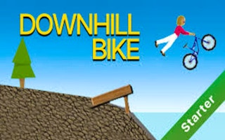 Downhill Bike