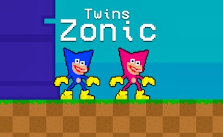 Twins Zonic